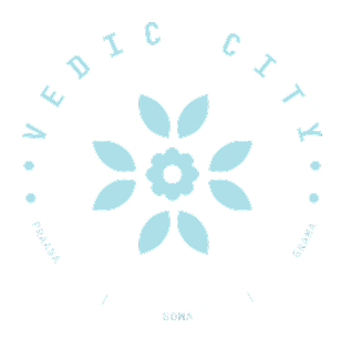 developer logo