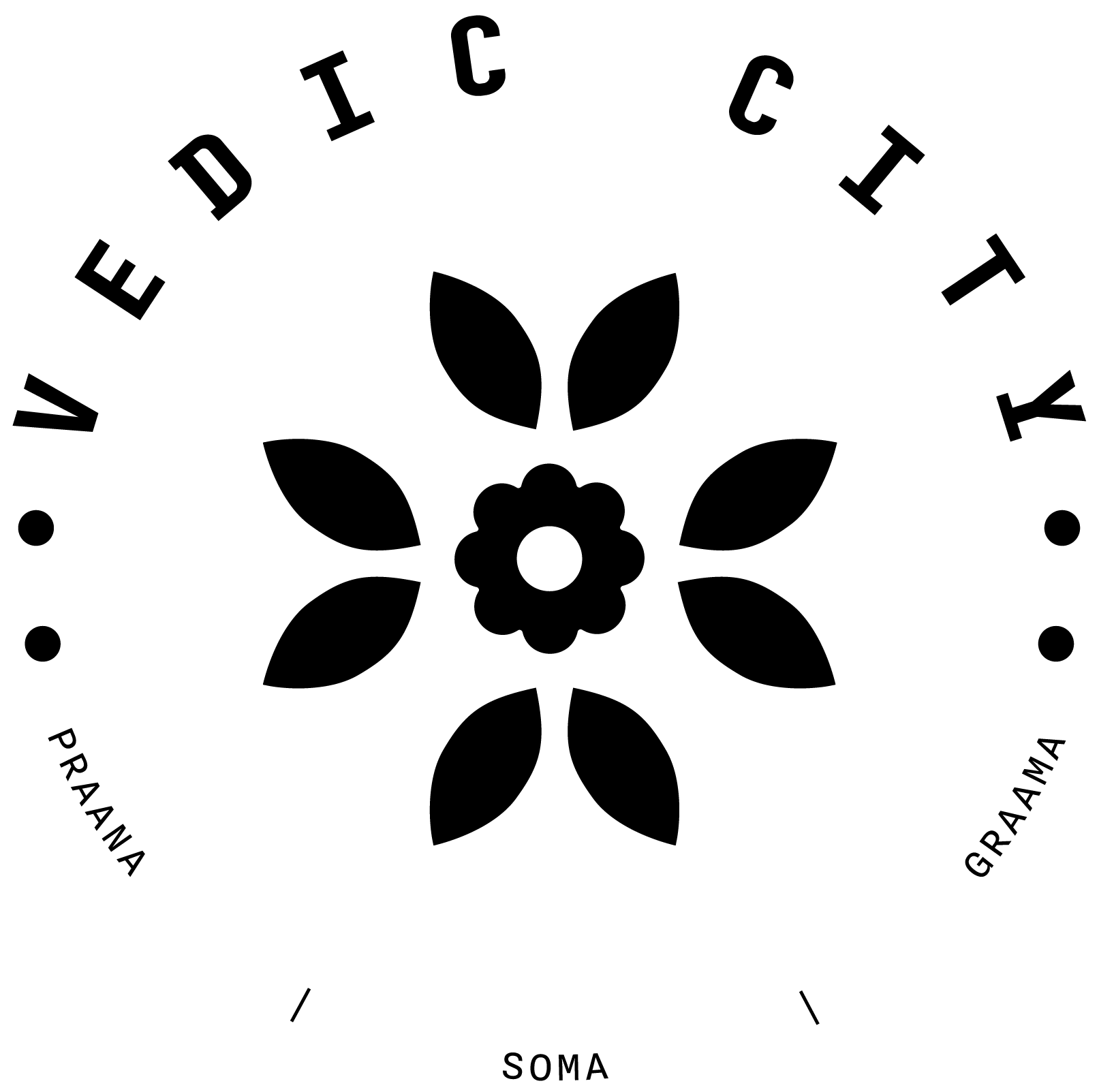 developer logo